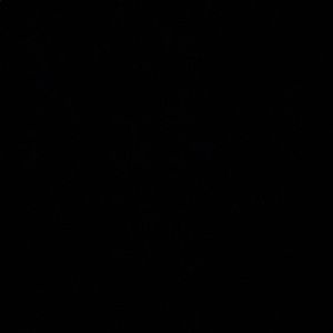 Meet your Posher, Jaclyn